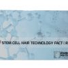 Stem Cell Program